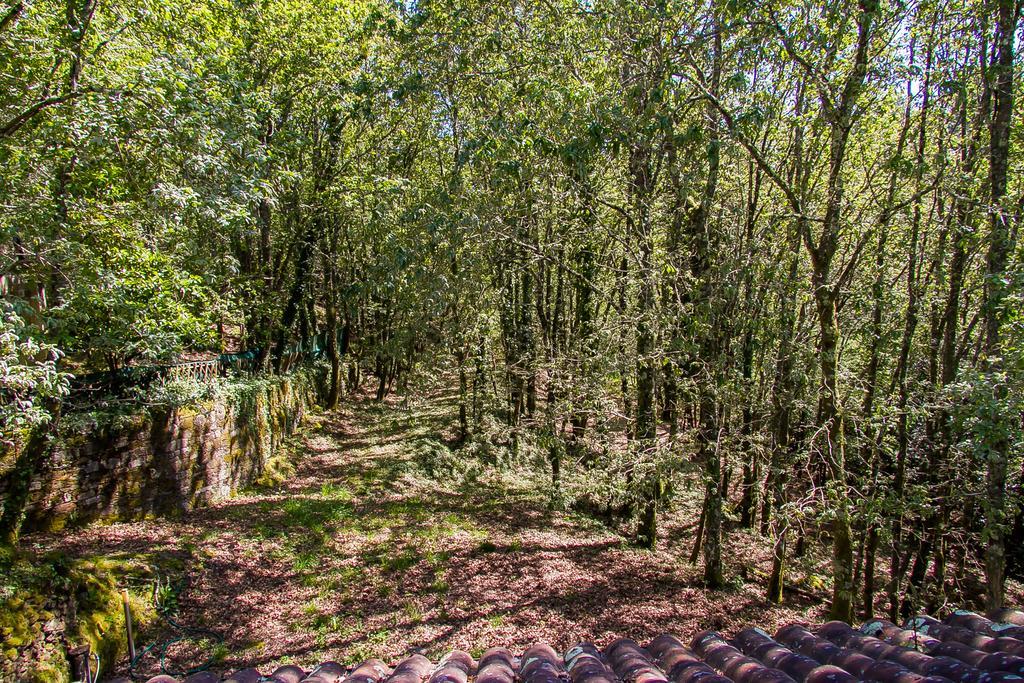 Liiiving In Caminha | Oak Tree Chill House Vila Exterior foto